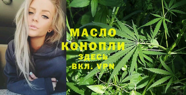 гашик Вяземский