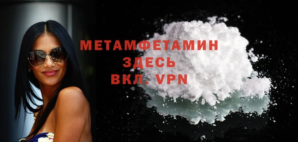 гашик Вяземский