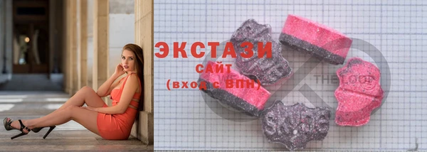 гашик Вяземский