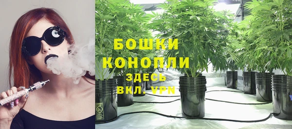 гашик Вяземский