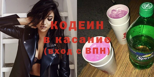 гашик Вяземский