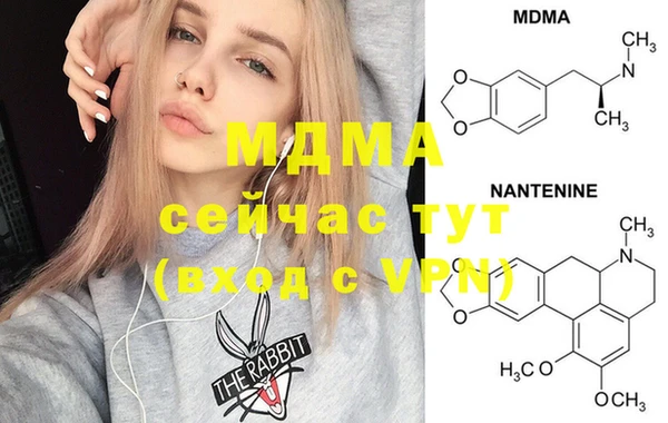 гашик Вяземский