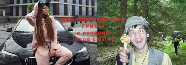 гашик Вяземский