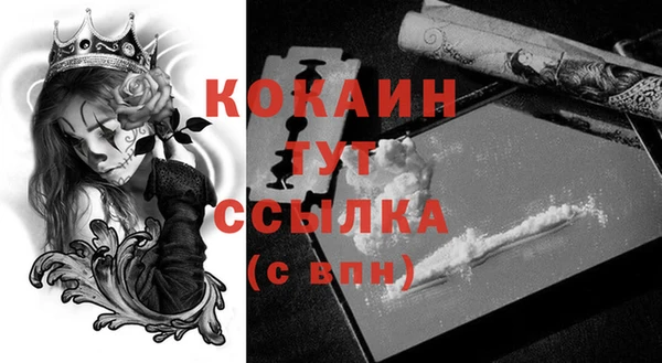 гашик Вяземский