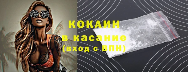 гашик Вяземский