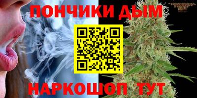 сатива Кизилюрт