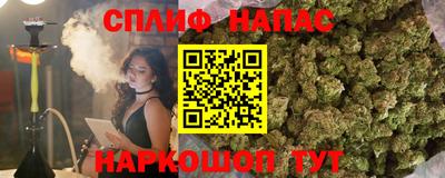 сатива Кизилюрт
