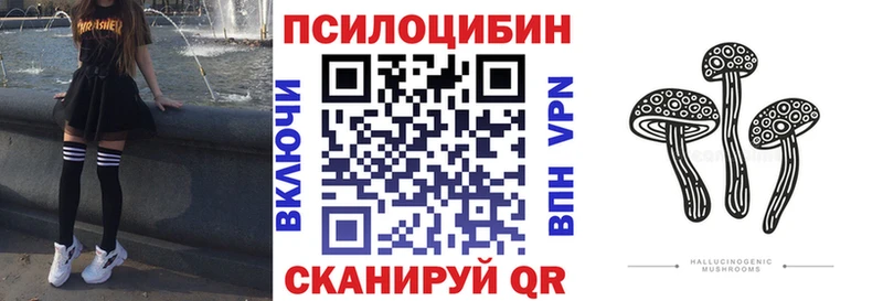 Псилоцибиновые грибы GOLDEN TEACHER  наркотики  Дальнереченск 