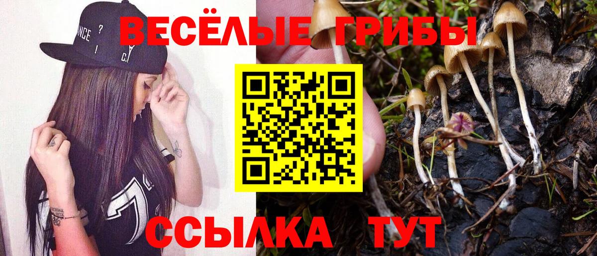 Псилоцибиновые грибы мицелий  купить наркотики цена  Псилоцибиновые грибы прущие грибы  Дальнереченск  Вход с VPN 